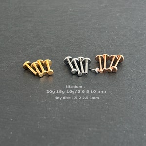 1pc -20g 18g  16g 14g - Implant Grade Titanium - Tiny Disc Push In Pin   - Threadless Push In Labret