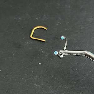 May include: A gold-colored nose ring and a silver nose ring with two small, light blue gemstones. The silver nose ring is held by a pair of tweezers. The jewelry is displayed against a dark background.