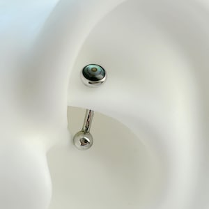 1 PC -Push In ‣ 16g ASTM F136 Titanium • Eyebrow Ring • Curved Barbells • Lip Ring • Natural Abalone Shell Rook  • Vertical Labret   •