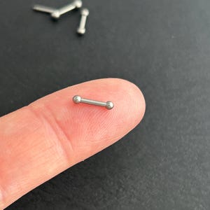 16g -6/8mm- Implant Grade Titanium - Helix Rook Tragus Cartilage Earring