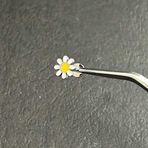 Op de afbeelding: Een kleine, witte madeliefbloem met een gele kern wordt vastgehouden door een zilveren pincet. De madelief heeft witte bloemblaadjes en een heldergele kern. De pincet is zilverkleurig en houdt de bloem vast.