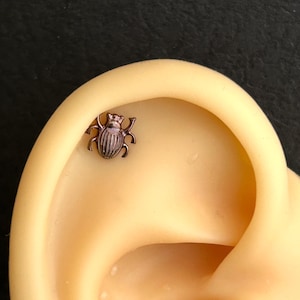 18g 16g  ‣ Beetle Nose Stud • ASTM F136 Implant Grand Titanium • Bug Internally Threaded Conch Stud • Conch Helix Tragus Stud -B1-0.9