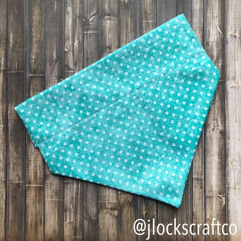 Teal Polkadot Over The Collar Bandana