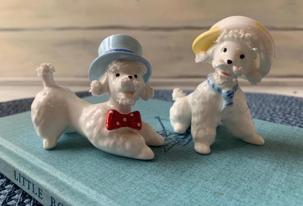 Blue Spaghetti Poodle - Etsy