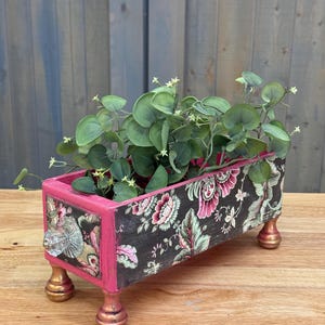 May include: A rectangular wooden planter box with a floral pattern and pink trim. The box has gold-painted feet and is filled with green foliage. A clear glass knob is on the side.