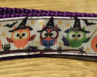 Halloween owls dog collar