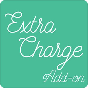 May include: A teal green square with white text that reads "Extra Charge Add-on".