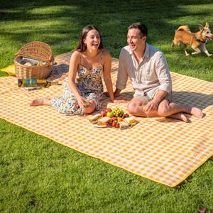 Puede incluir: Escena de picnic sobre una manta a cuadros amarilla y blanca. Una pareja est&aacute; sentada en la manta, disfrutando de comida y bebida. Tambi&eacute;n hay una cesta de mimbre y un perro, lo que sugiere una comida relajante al aire libre.