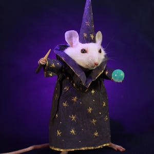 May include: A white mouse wearing a purple and gold wizard costume with a pointed hat, holding a wand in one paw and a green orb in the other.