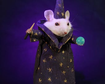 taxidermy little rat sorcerer magician Illuminescences taxidermy rat sorcerer mouse cabinet of curiosities oddities