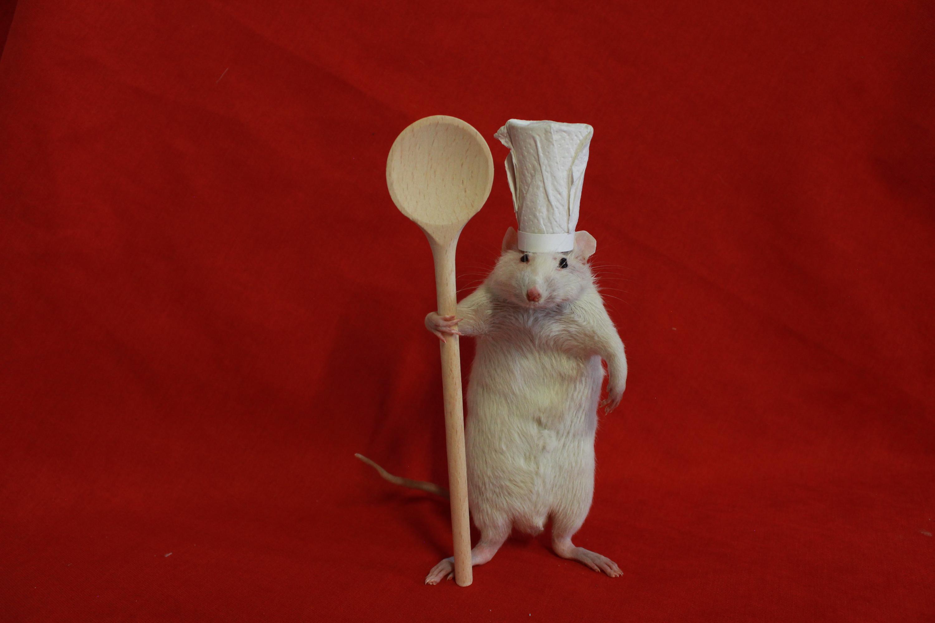 ヴィンテージ　クッキージャー　ネズミのデザイン ヴィンテージ クッキージャー ネズミのデザイン 立ってるネズミ