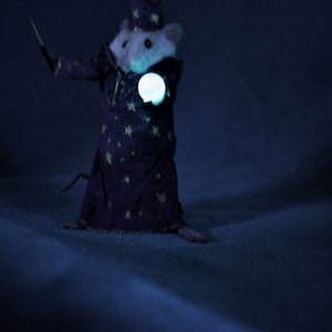 Petit Rat Taxidermie Magicien - Curiosité Anthropomorphique - Neuf France