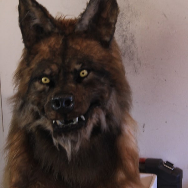 masque de loupgarou fursuit mask werewolf  Van Helsing fursuit a réserver