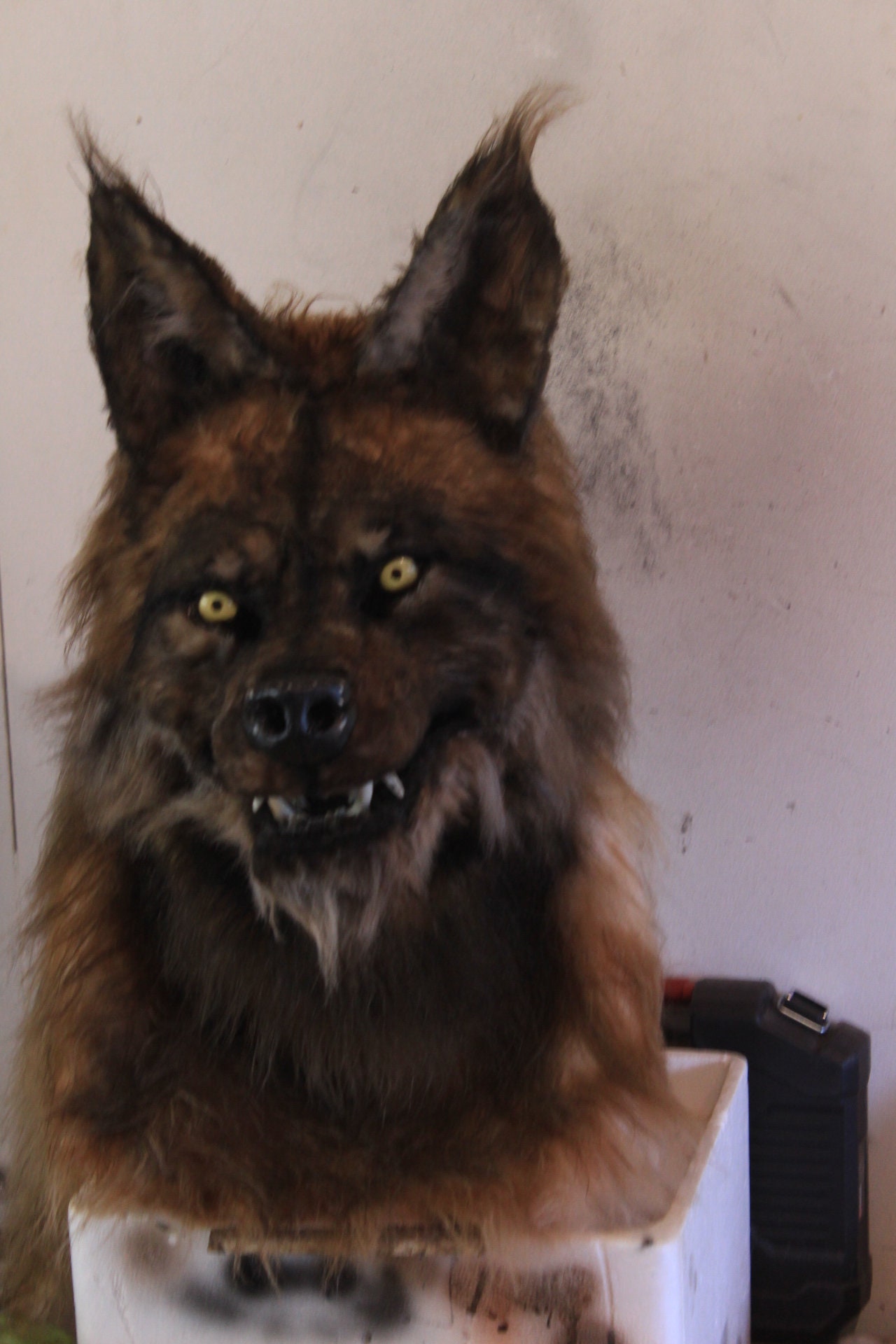 Masque De Loup-garou En Fausse Fourrure – Cosplay Halloween, Sangle élastique, Taille Adulte