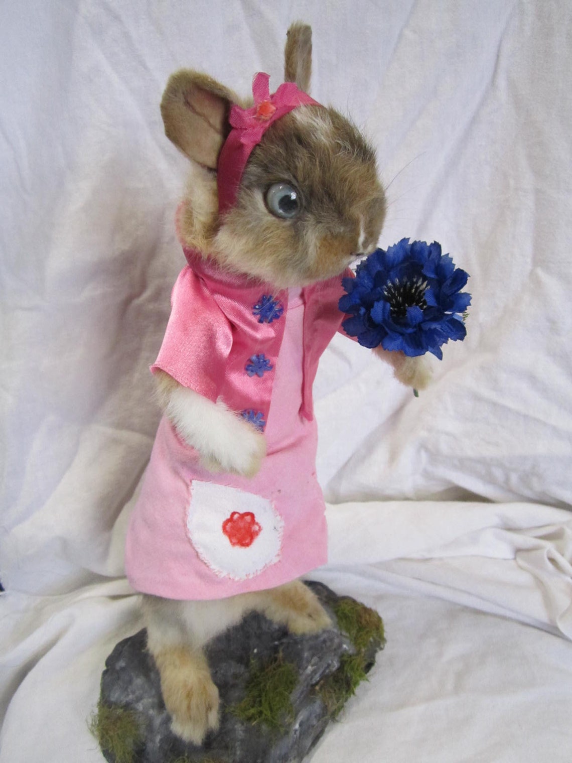 Taxidermy Rabbit Tale Flower Bouquet Rodent Taxidermy Rabbit | Etsy