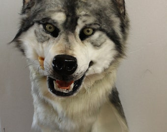 grey wolf mask fursuit mask wolf fursuit to book