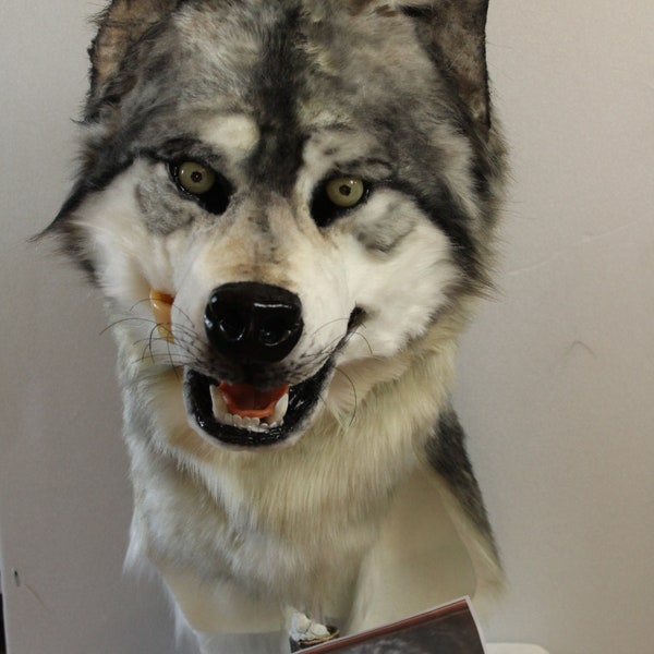 masque de loup gris  et gants fursuit mask wolf fursuit a réserver