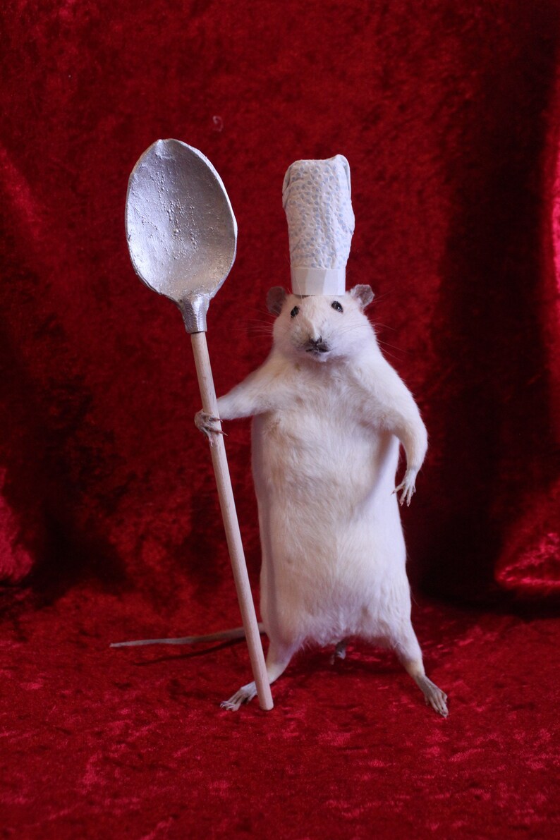 Taxidermy ratratouille taxidermy cuistot rat curiosity Etsy