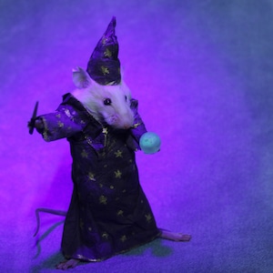 taxidermia pequeña rata mago Iluminiscencias taxidermia rata ratón gabinete de curiosidades rarezas