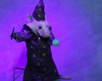 taxidermy little rat magician Illuminescences taxidermy rat mouse cabinet of curiosities oddities