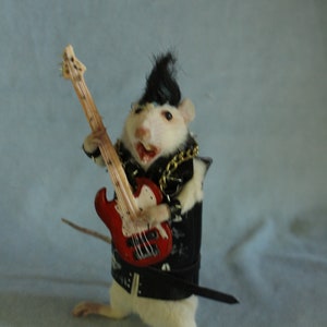 tassidermia ratto punk chitarra rock star tassidermia ratto punk rocker gabinetto delle curiosità stranezze