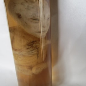 Puede incluir: Una pequeña figura humanoide gris se conserva en un frasco de vidrio transparente lleno de un líquido marrón claro. La figura está encogida en posición fetal.