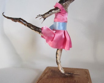 taxidermie grenouille  danseuse étoile taxidermy frog  dancing ballerine curiosité oditties