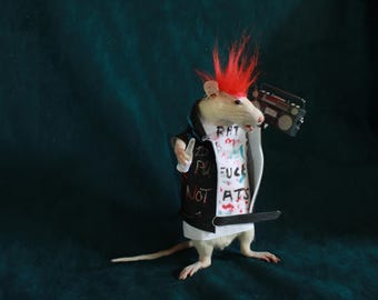 taxidermy rat punk radio taxidermy rat punk cabinet of curiosities oditties