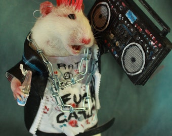 taxidermie rat punk radio taxidermy rat punk cabinet de curiosité oditties