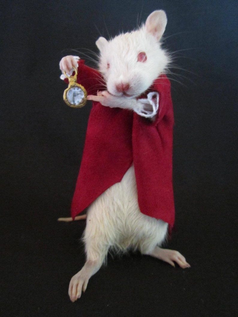 Petit Rat Taxidermie Magicien Anthropomorphique - Curiosité, Fabriqué En France