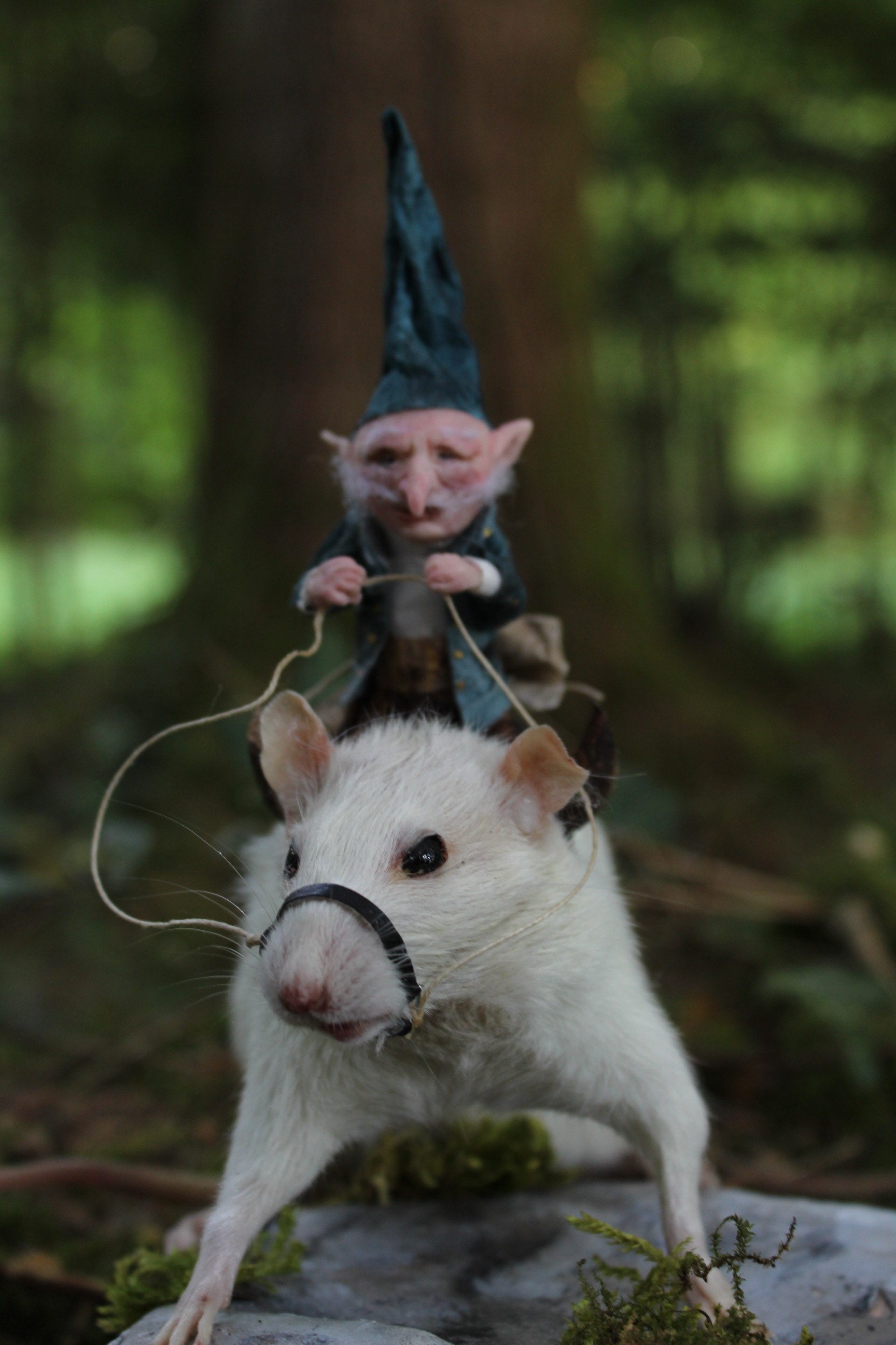 Taxidermie rat taxidermy rat monture sculpture a la main miniature