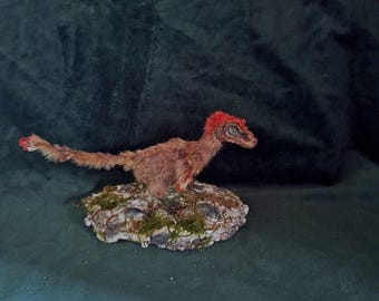 taxidermy dinosaur Pyroraptor figurine taxidermy dinosaur cabinet of curiosities curiosity