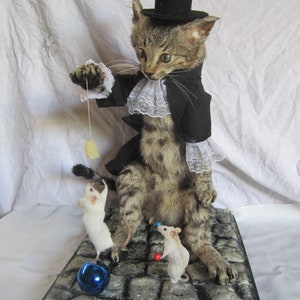 Animaux Empailles Etsy Fr