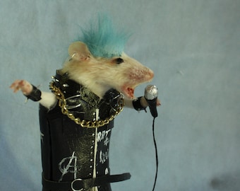 taxidermie rat punk rock  star taxidermy rat punk rockeur cabinet de curiosité oditties
