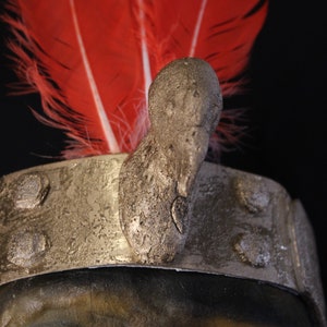 May include: A close-up of a silver headband with a textured surface and a large, gray, textured, bird-shaped ornament. The headband is topped with a red feather plume.