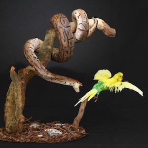Peut inclure: Un serpent brun et noir enroulé autour d'une branche avec un perruche jaune et vert volant devant lui.
