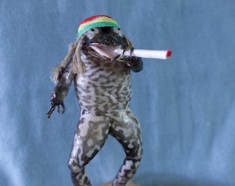 taxidermie grenouille rasta   taxidermy  frog  rasta curiosité oditties