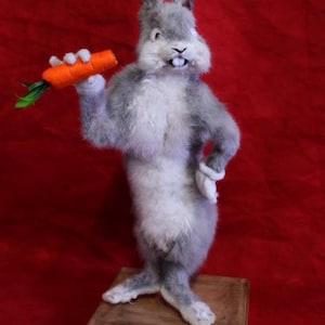 taxidermy rabbit cartoon rodent taxidermy rabbit curiosity oditties
