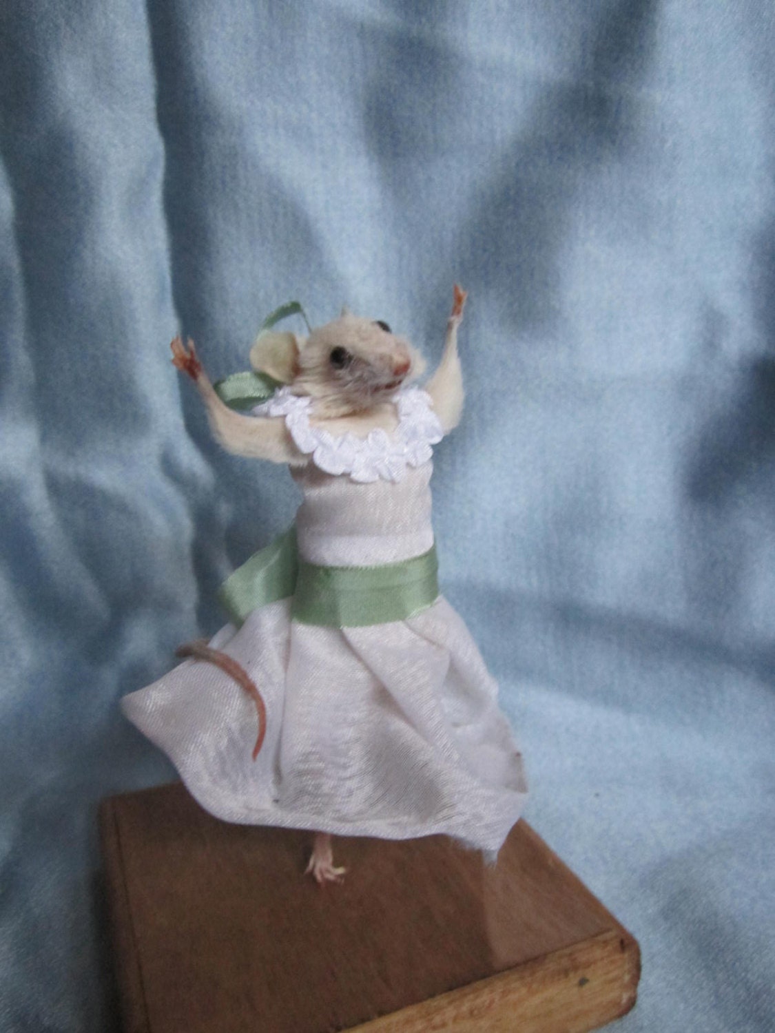 Taxidermy Rat Dancer Taxidermy Rat Mouse Curiosity Cabinet Etsy