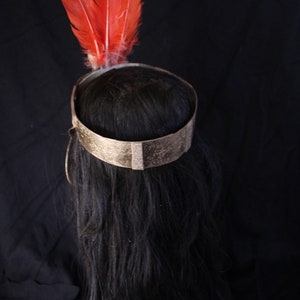 May include: A black wig with a gold headband and three red feathers on top.