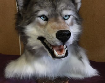 Gray wolf fursuit mask. Realistic fur costume. Wolf head Fursuit. Halloween cosplay mask, Fursuit head