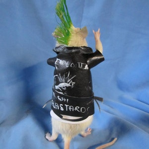 Lotto di diamanti naturali sfusi taglio tondo brillante da 0,8 a Lotto di diamanti naturali sfusi taglio tondo brillante da 0,8 a