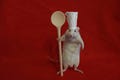 taxidermy rat cook taxidermy cook rat cabinet of curiosities odditties