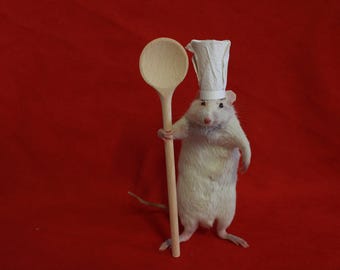 taxidermy rat butcher taxidermy cook rat cabinet of curiosities oddities