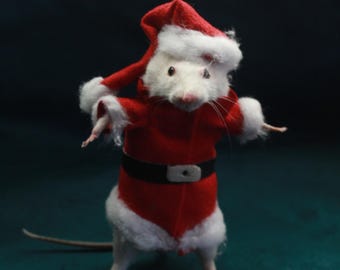 taxidermy rat mouse santa claus taxidermy mouse Christmas curiosity oditties