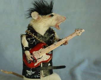 taxidermie rat punk  guitar rock  star taxidermy rat punk rockeur cabinet de curiosité oditties