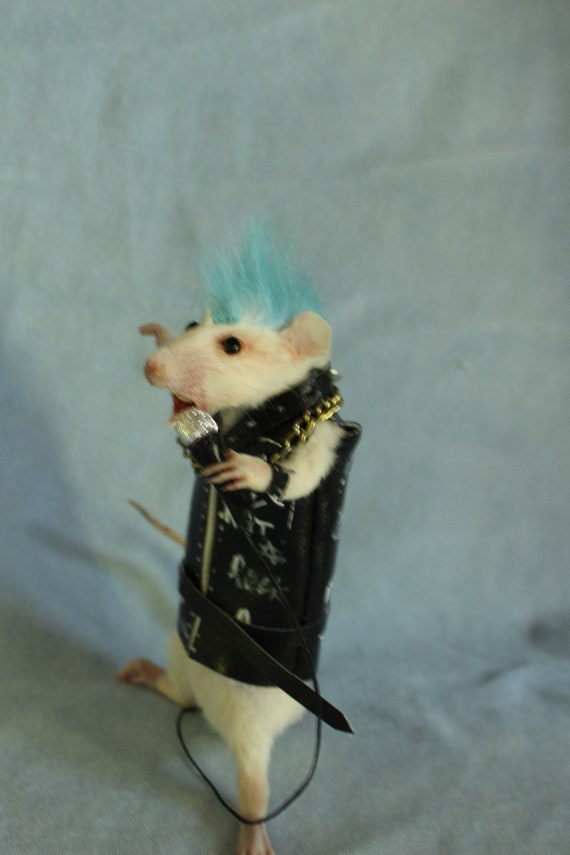 Taxidermy Rat Punk Rock Star Taxidermy Rat Punk Rocker