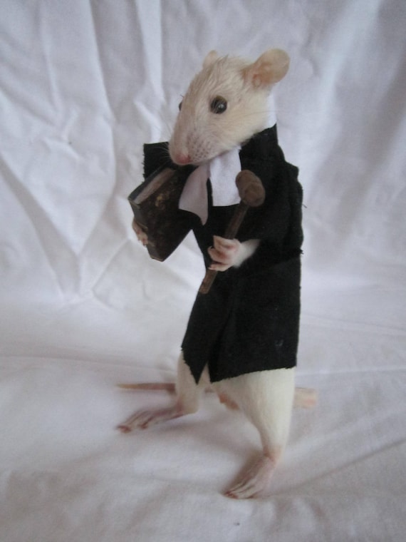 Rat Taxidermie Magicien Anthropomorphique - Curiosité, Neuf, Fabriqué En France