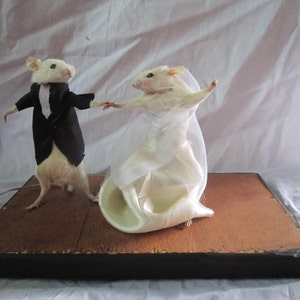 Peut inclure: Une souris blanche vêtue d'un smoking danse avec une souris blanche vêtue d'une robe blanche et d'un voile sur une plateforme en bois avec un cadre noir.