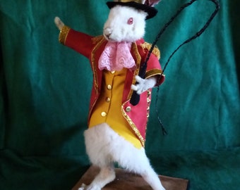 taxidermy rabbit loyal circus ringmaster rodent taxidermy rabbit curiosity oditties circus